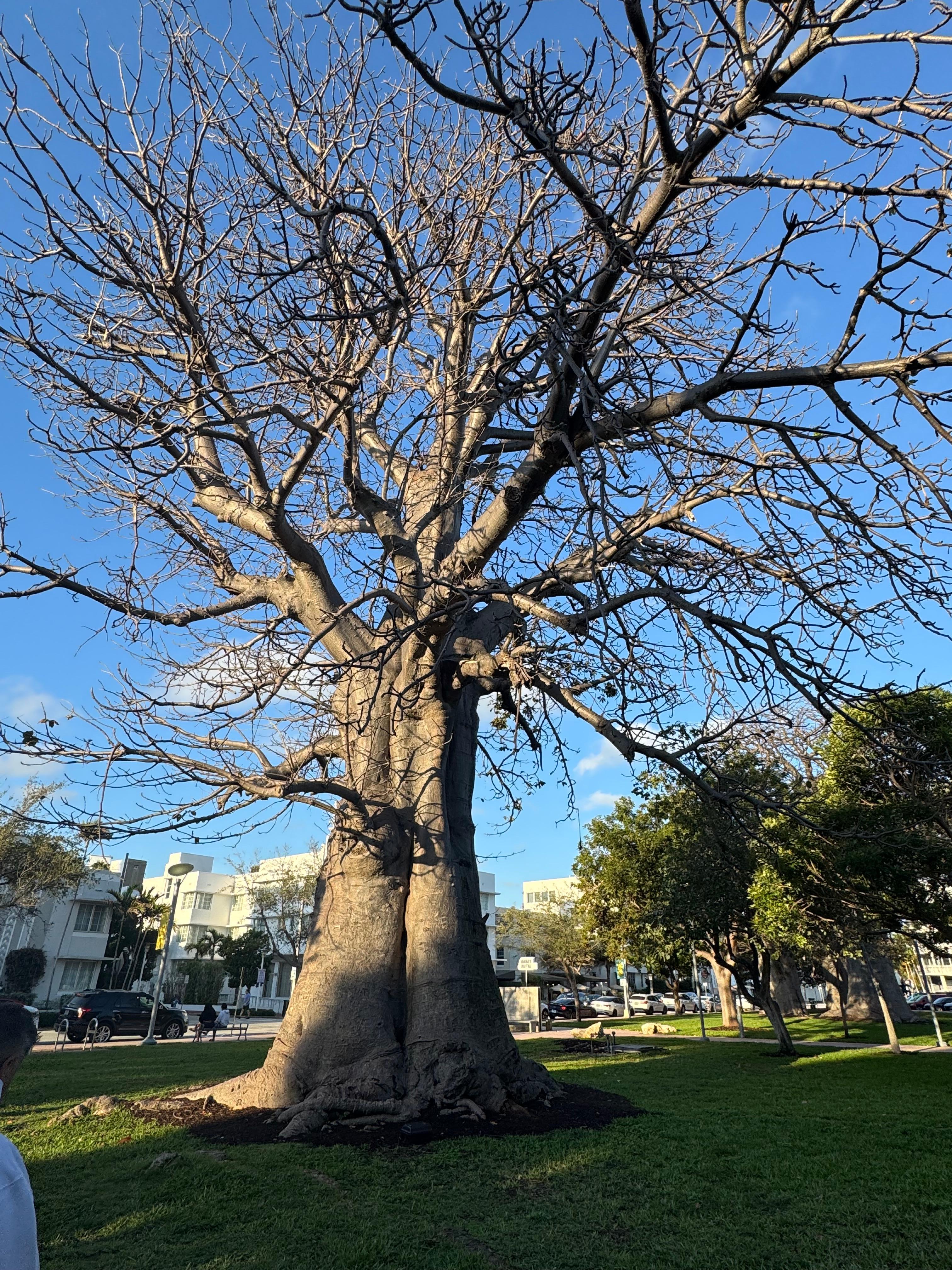 Parque enfrente