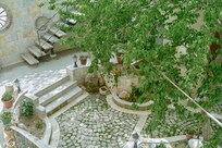 Lovely garden