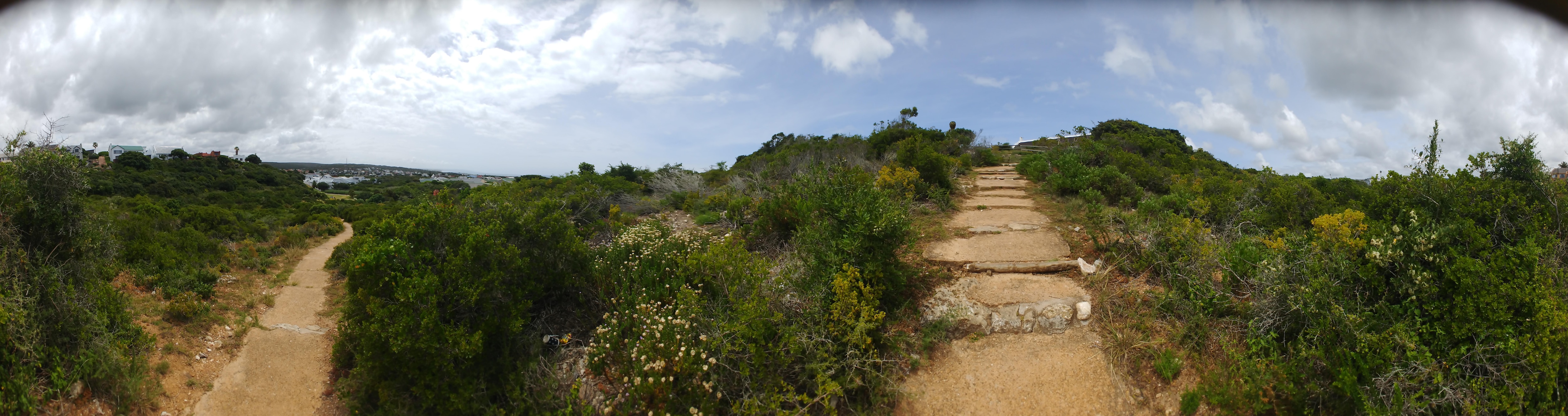 Paved hiking trail in Stillbaai indigenous bush