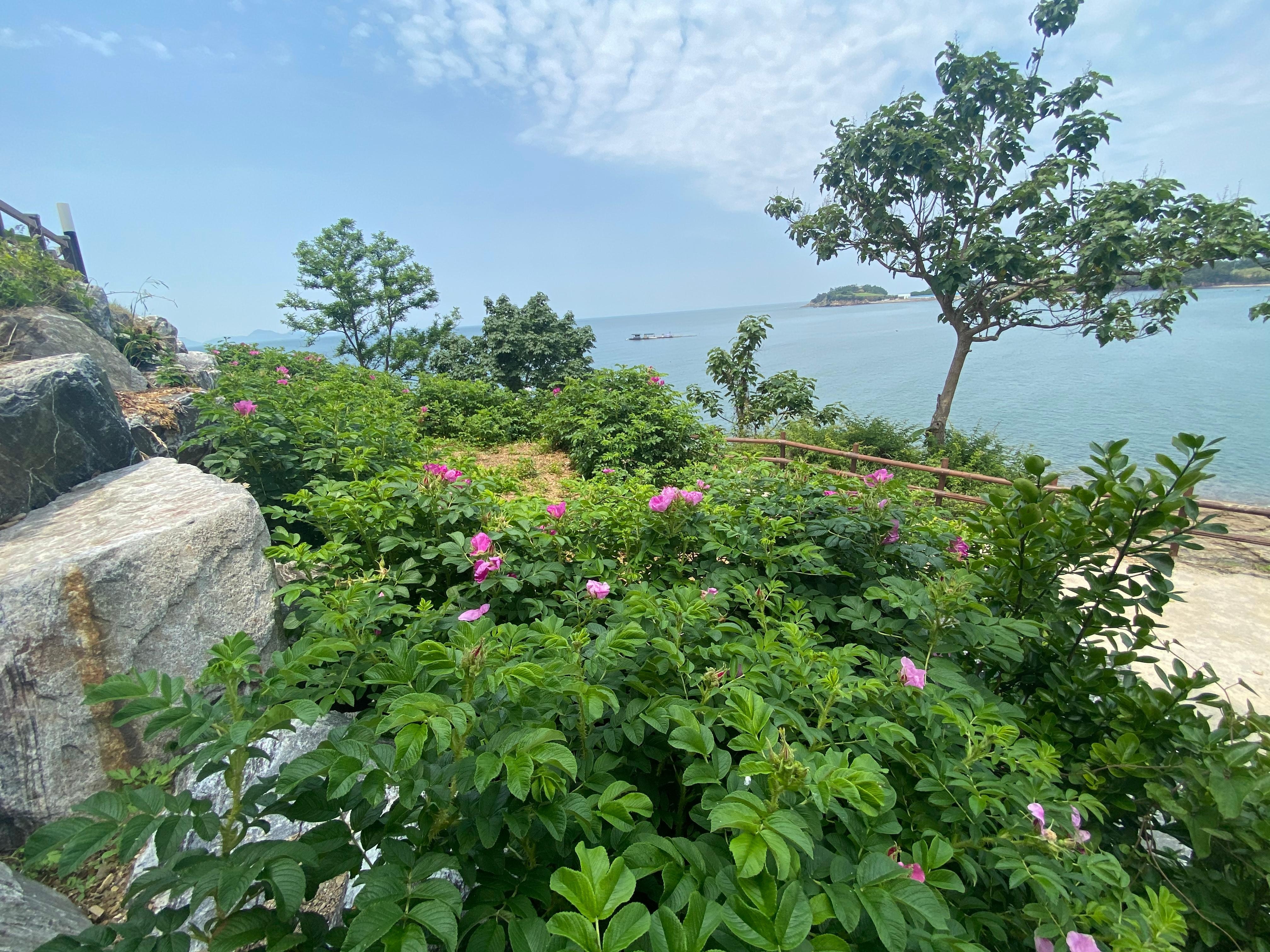 숙소에서 나와 드라이브 했던 변산반도 마실길