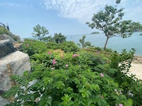 숙소에서 나와 드라이브 했던 변산반도 마실길