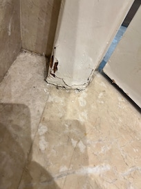 In the bathrooms it’s a lot of mould (the ceilings in the bath tub) and water damage.