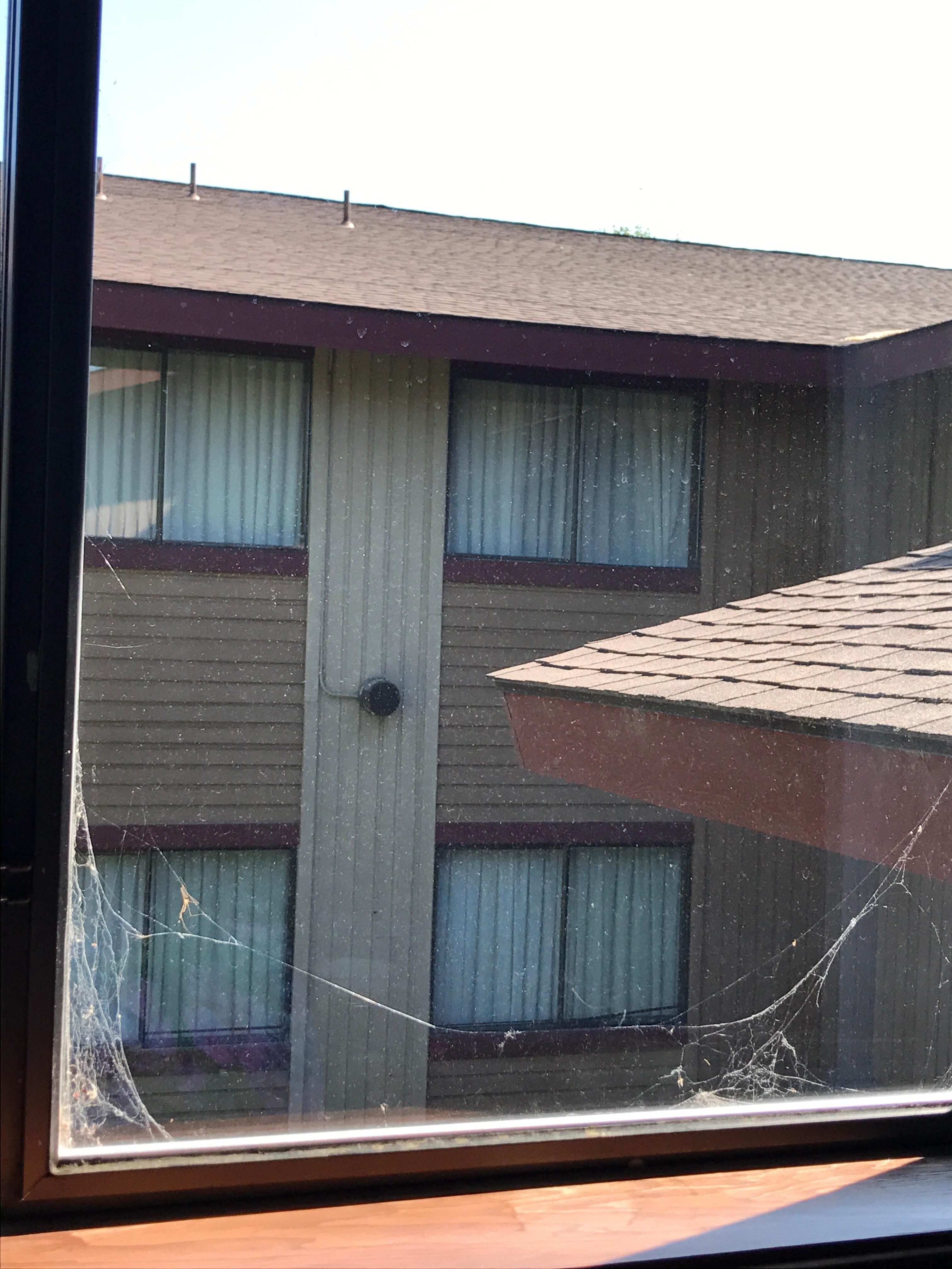 spiderwebs covering window