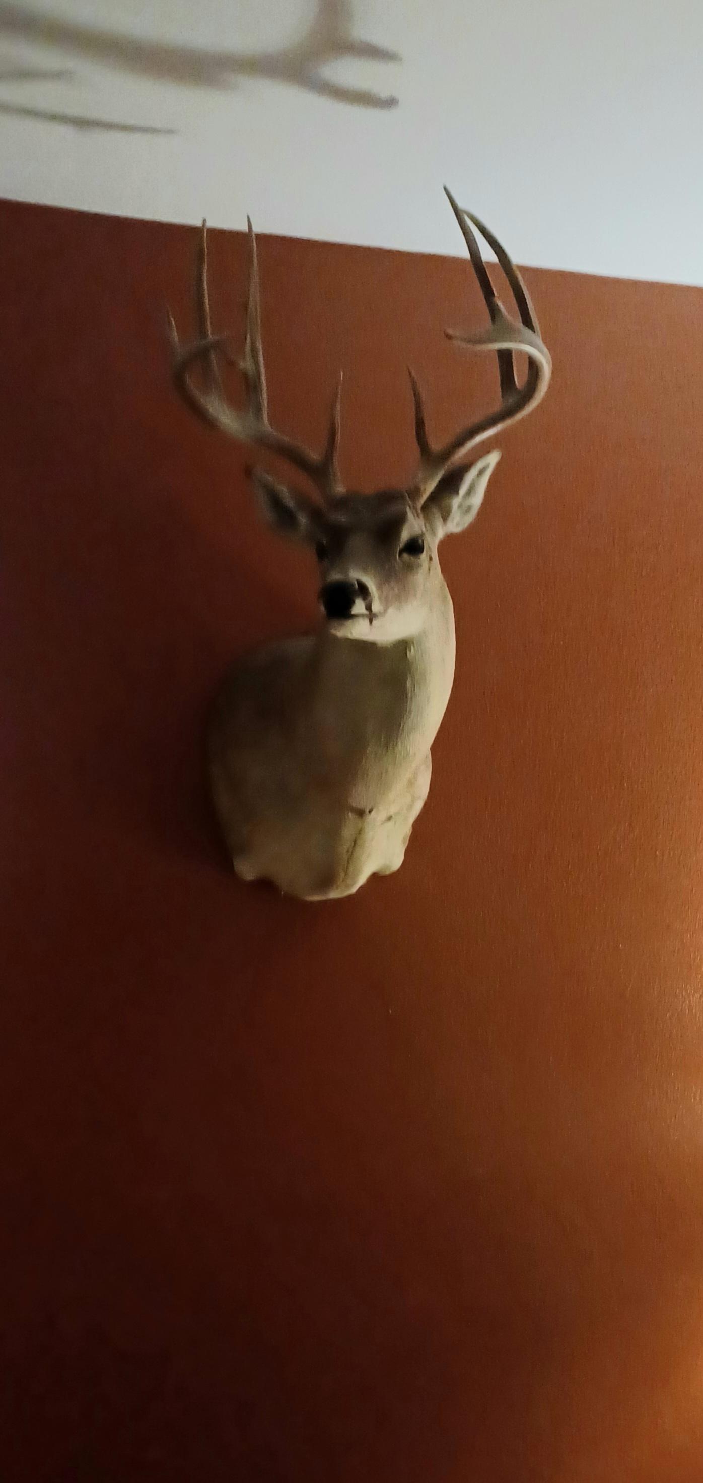 My Roommate!
I warned you!