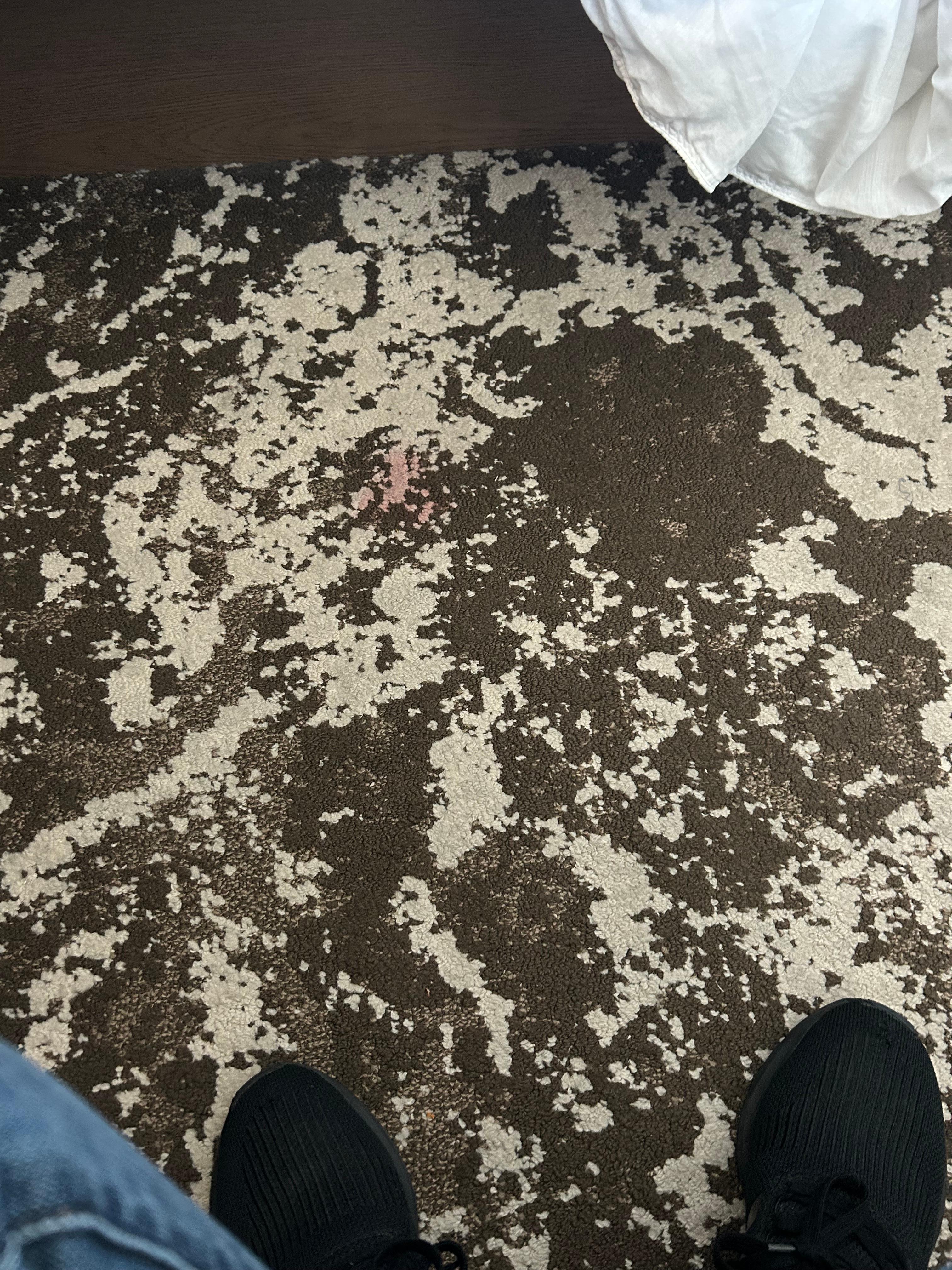 Stain carpet 