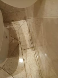 Ants in the Bathroom