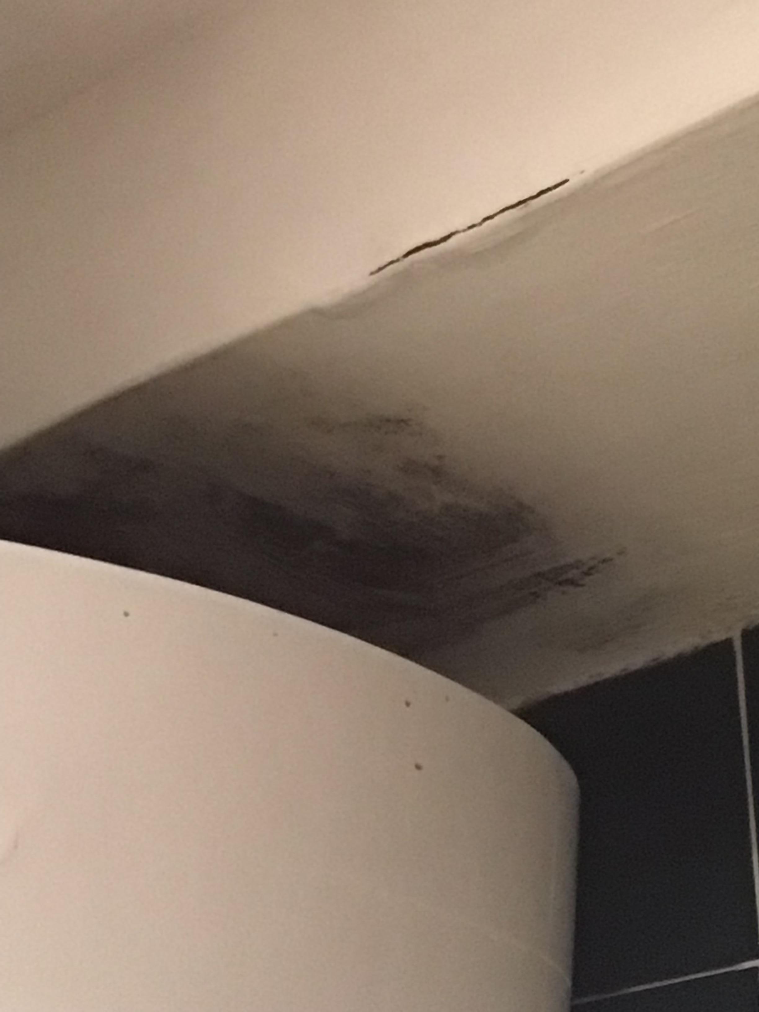 Mold on the bathroom 