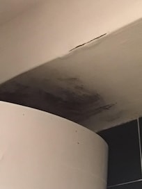 Mold on the bathroom