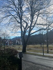 vista