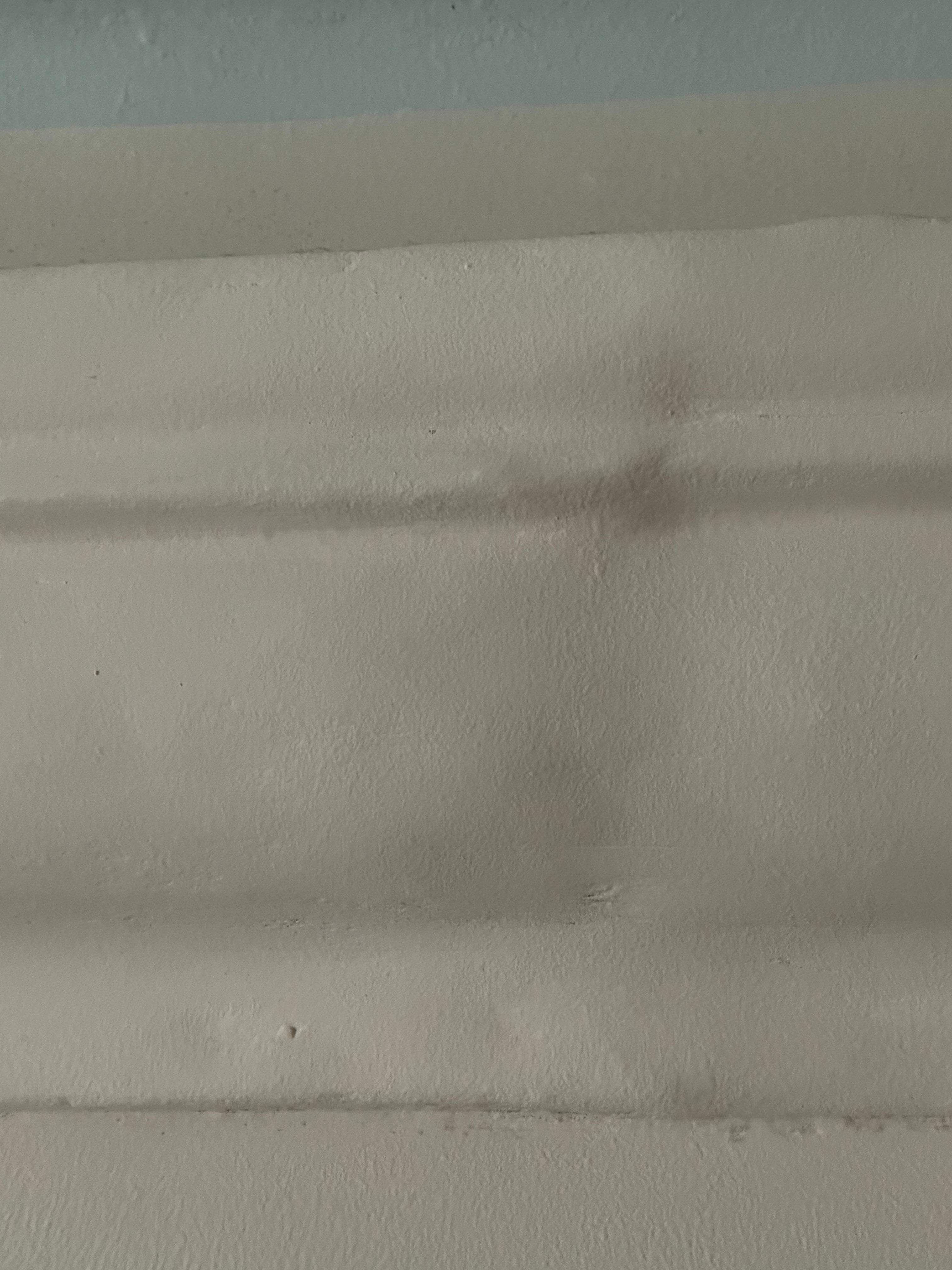 Mold / Mildew growing on trim. 