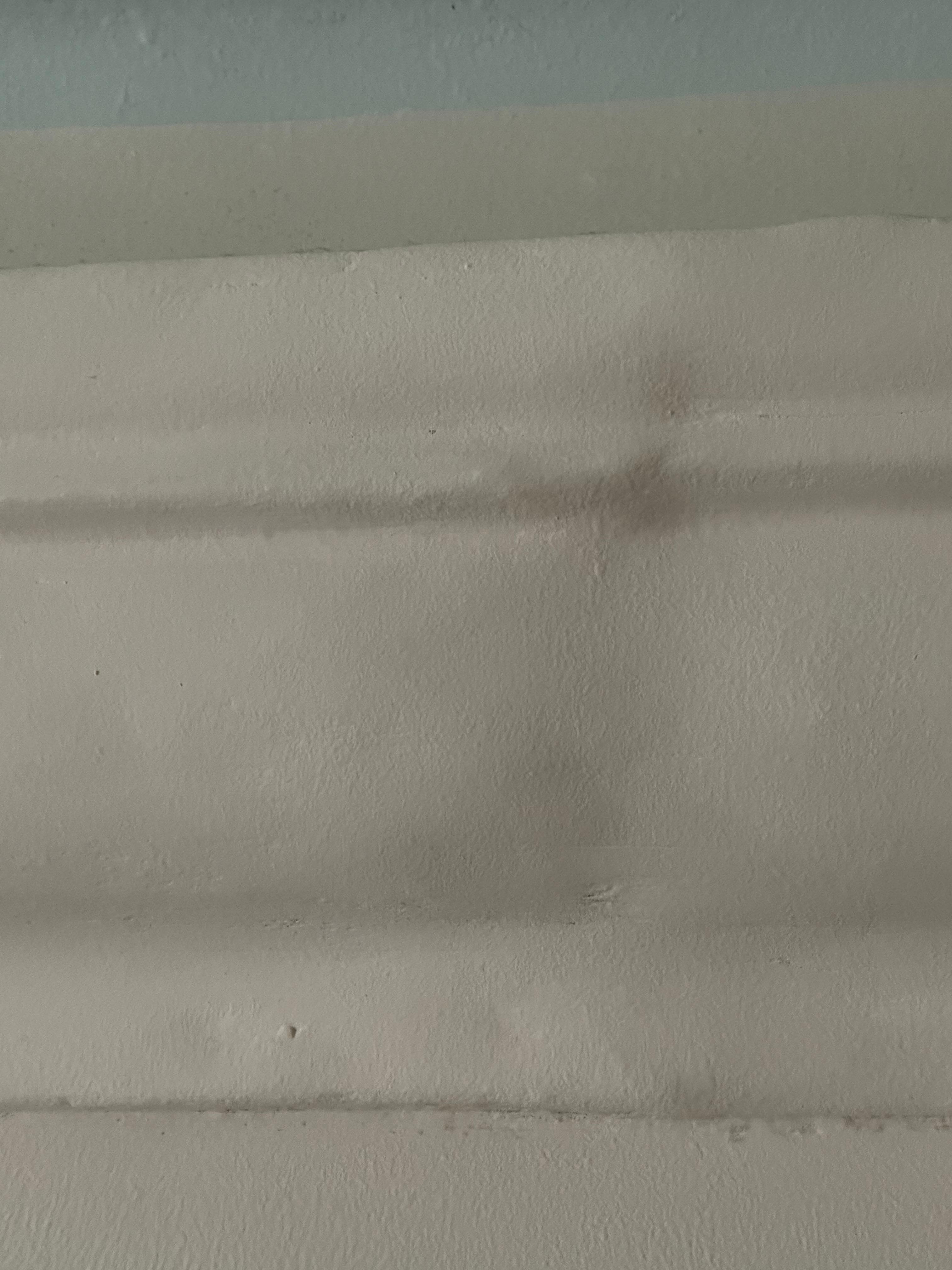 Mold / Mildew growing on trim.