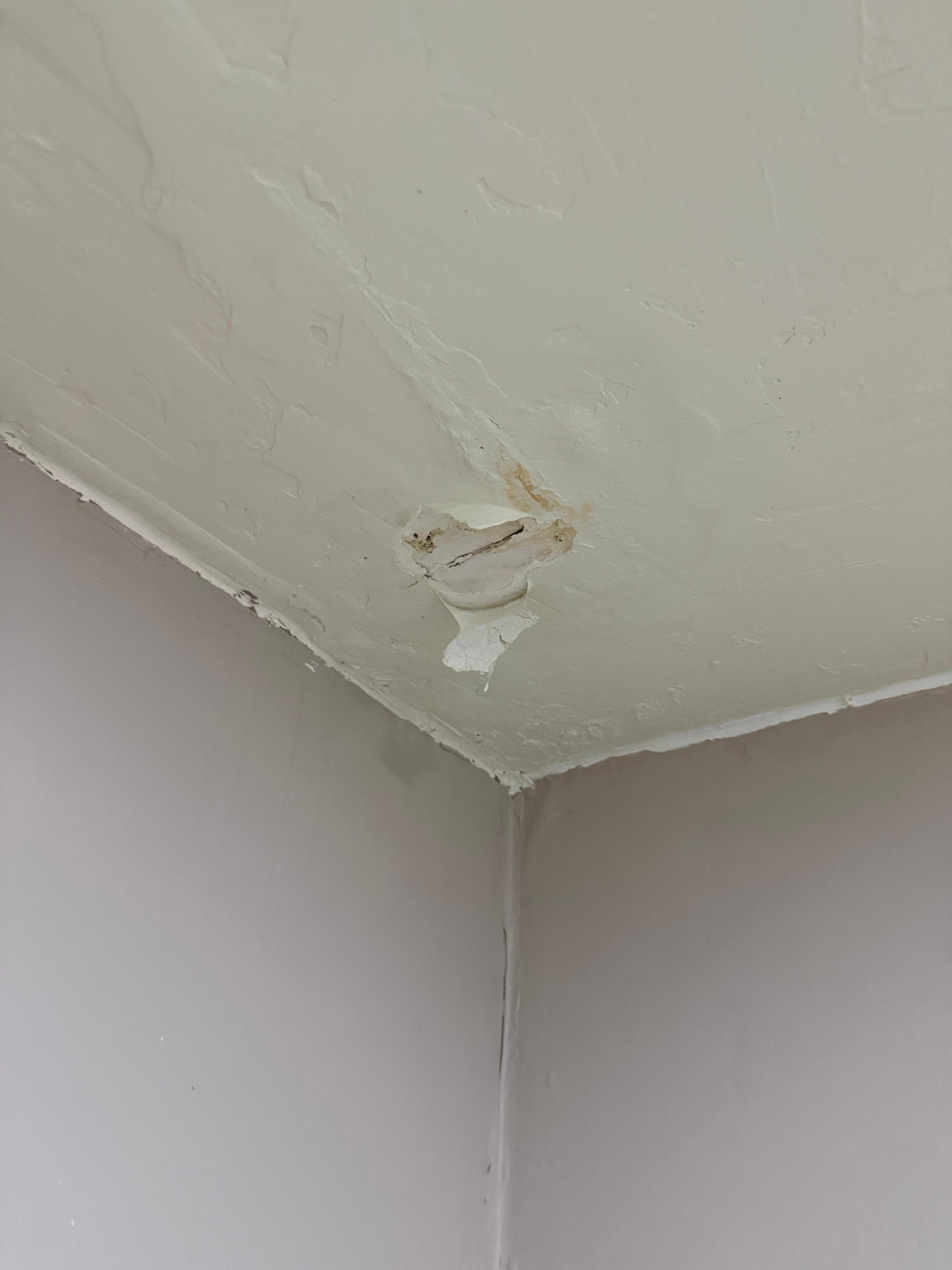 Ceiling peeling 