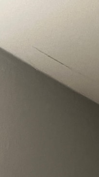Spider webs