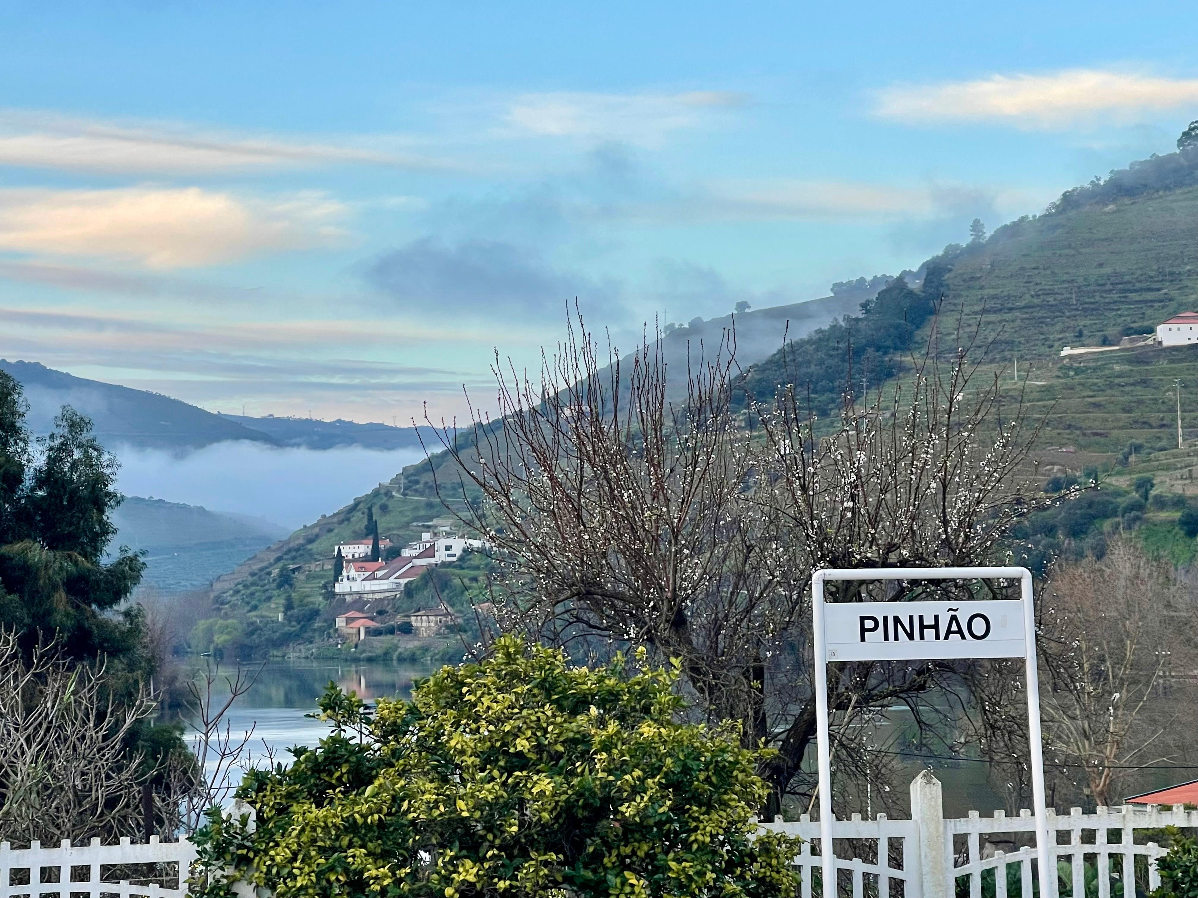 Quinta de la Rosa from Pinhao