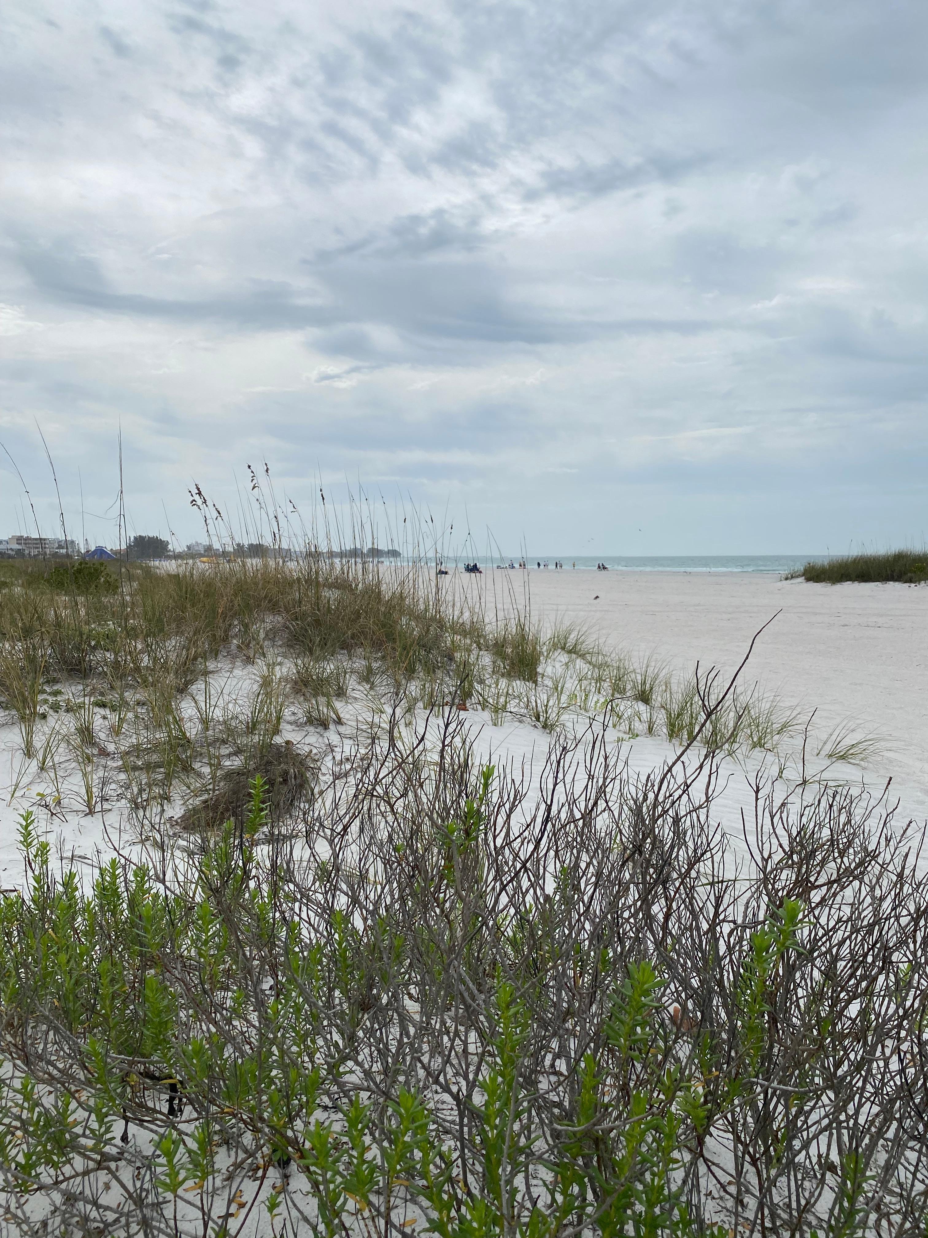 Treasure Island beach