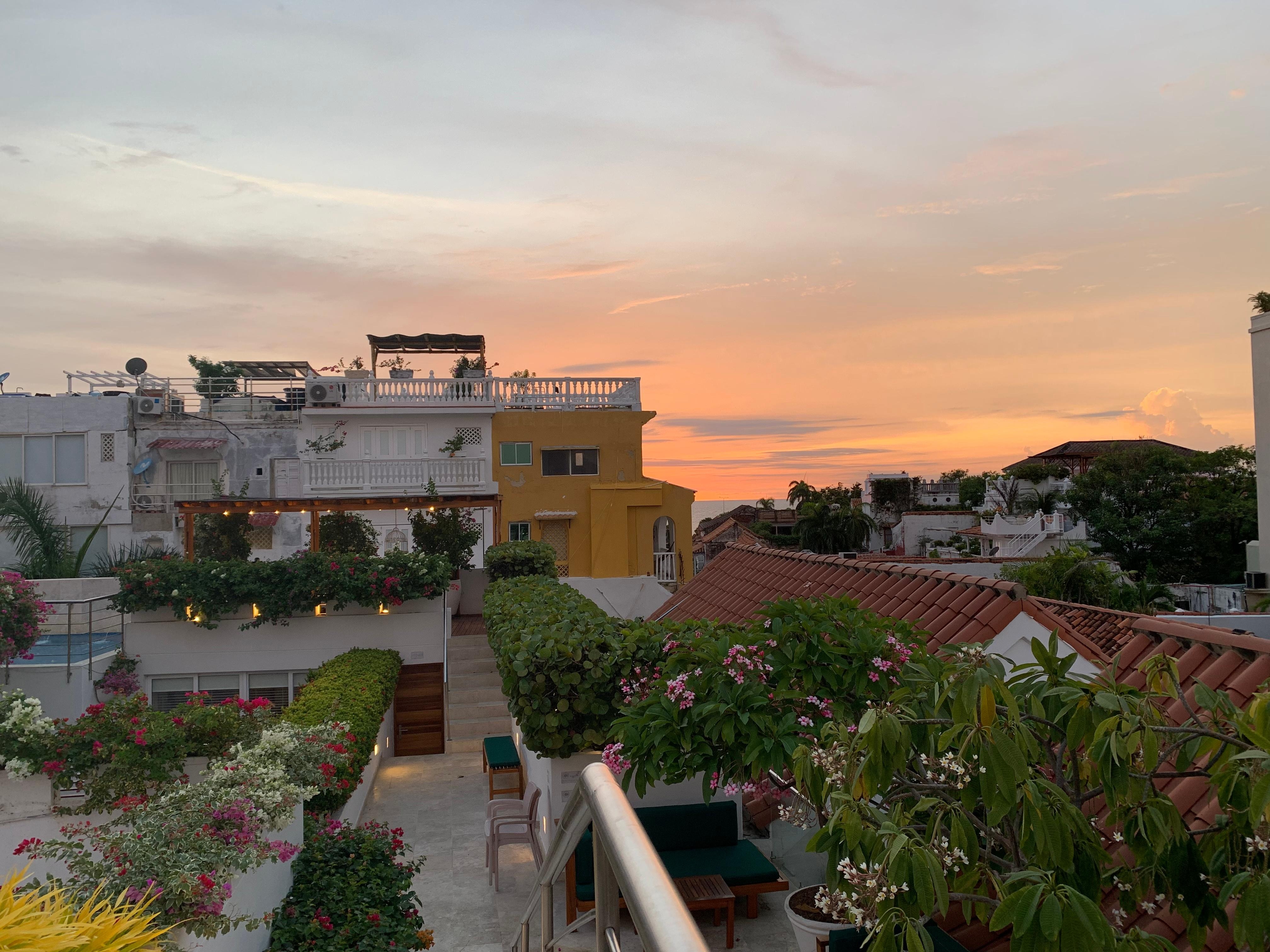 Terraza