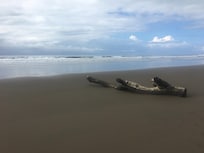 Der Strand. Die Wellen können schon mal gröĂer sein - Achtung beim Baden im Pazifik wegen der Strömung.