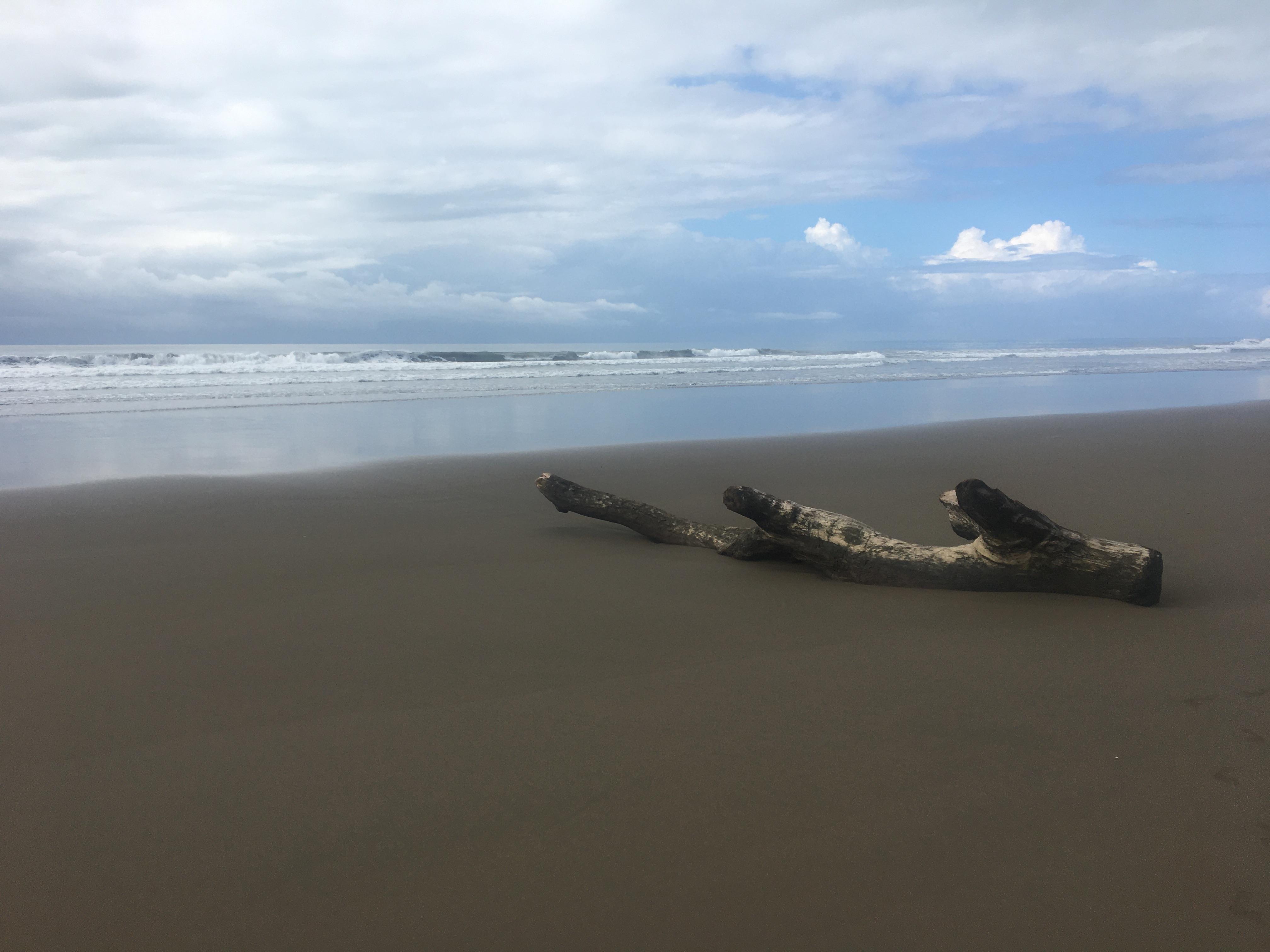 Der Strand. Die Wellen können schon mal größer sein - Achtung beim Baden im Pazifik wegen der Strömung.