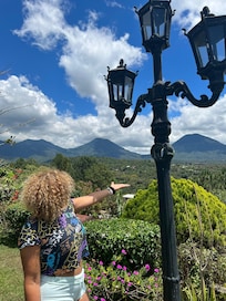 Vista hermosa mucha oaz