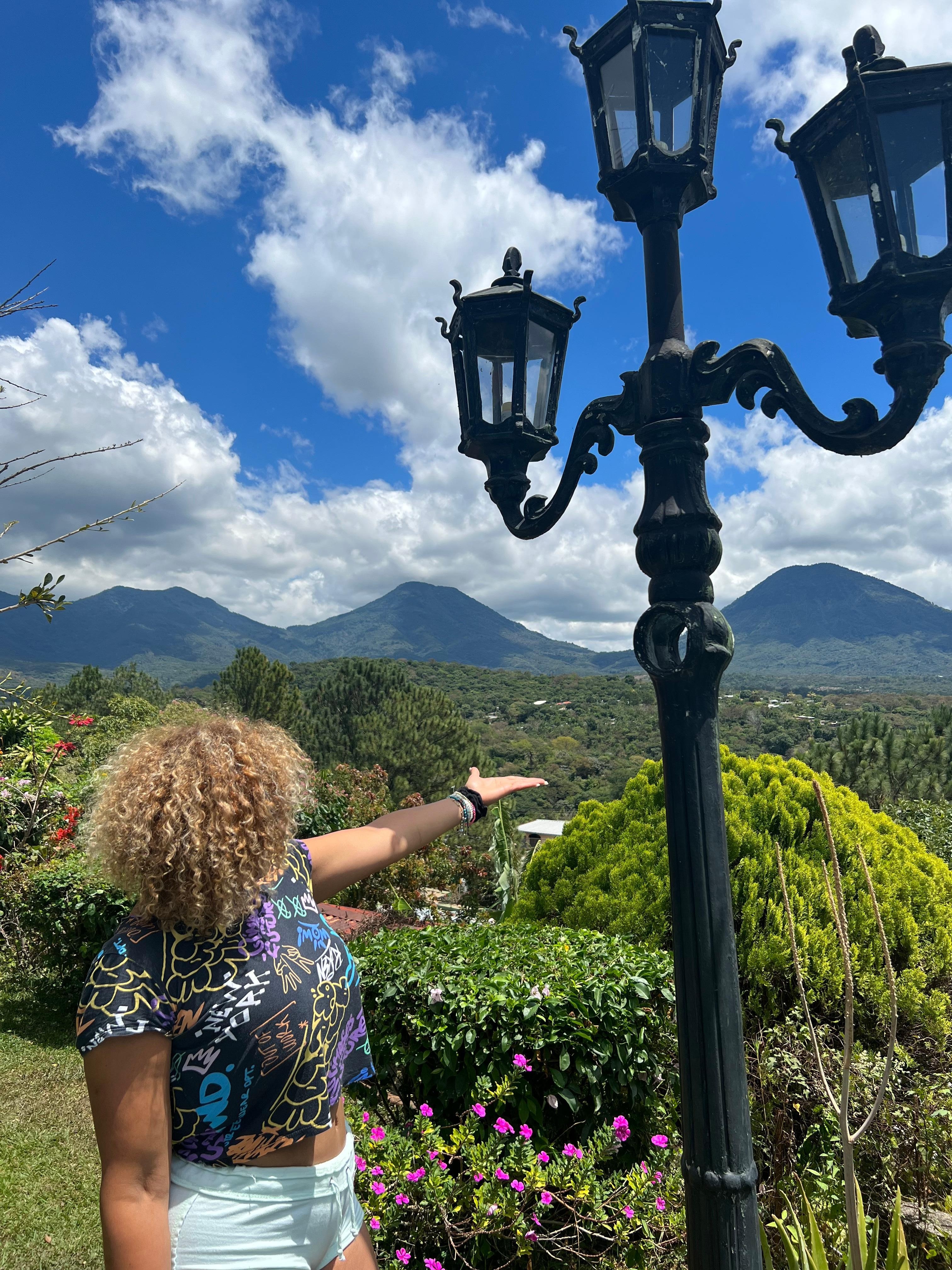 Vista hermosa mucha oaz