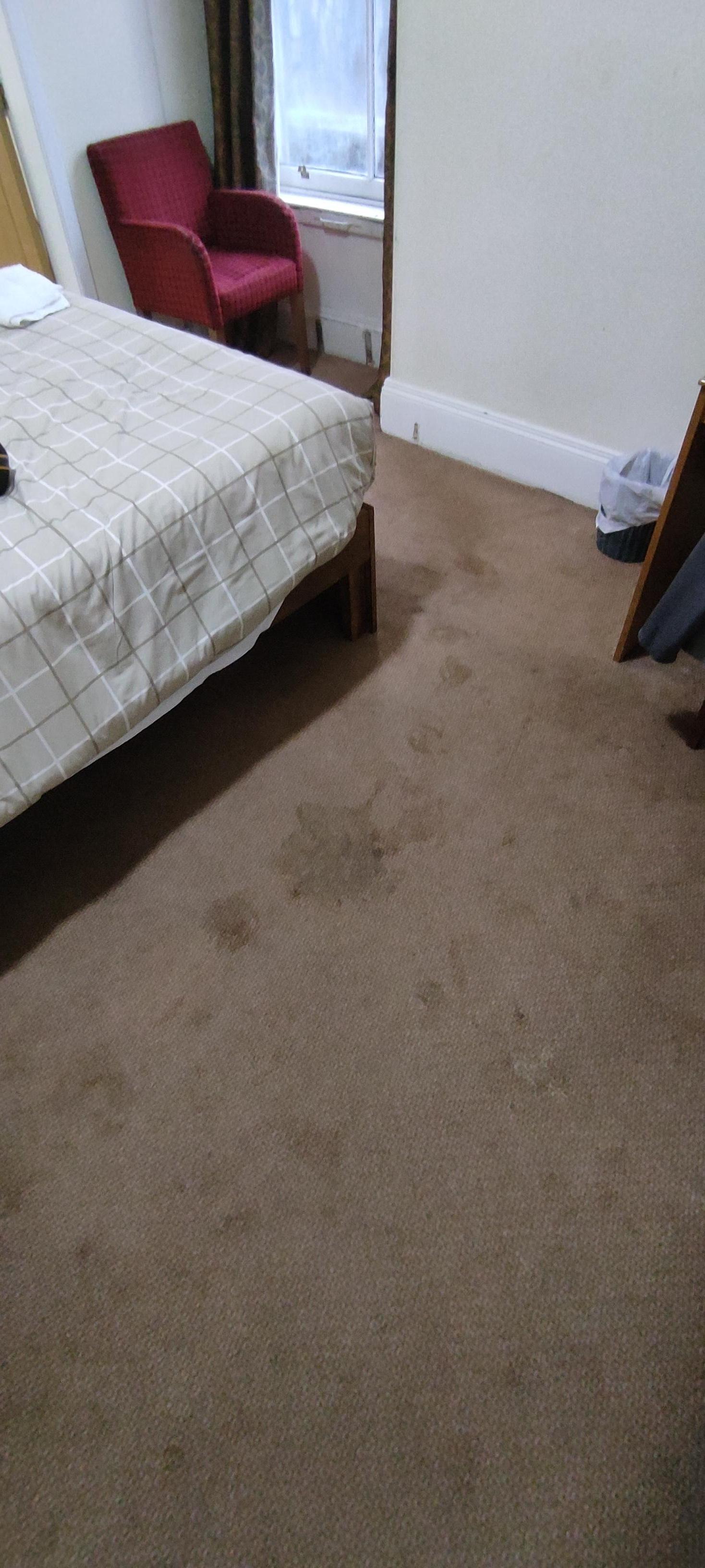 Filthy Carpet