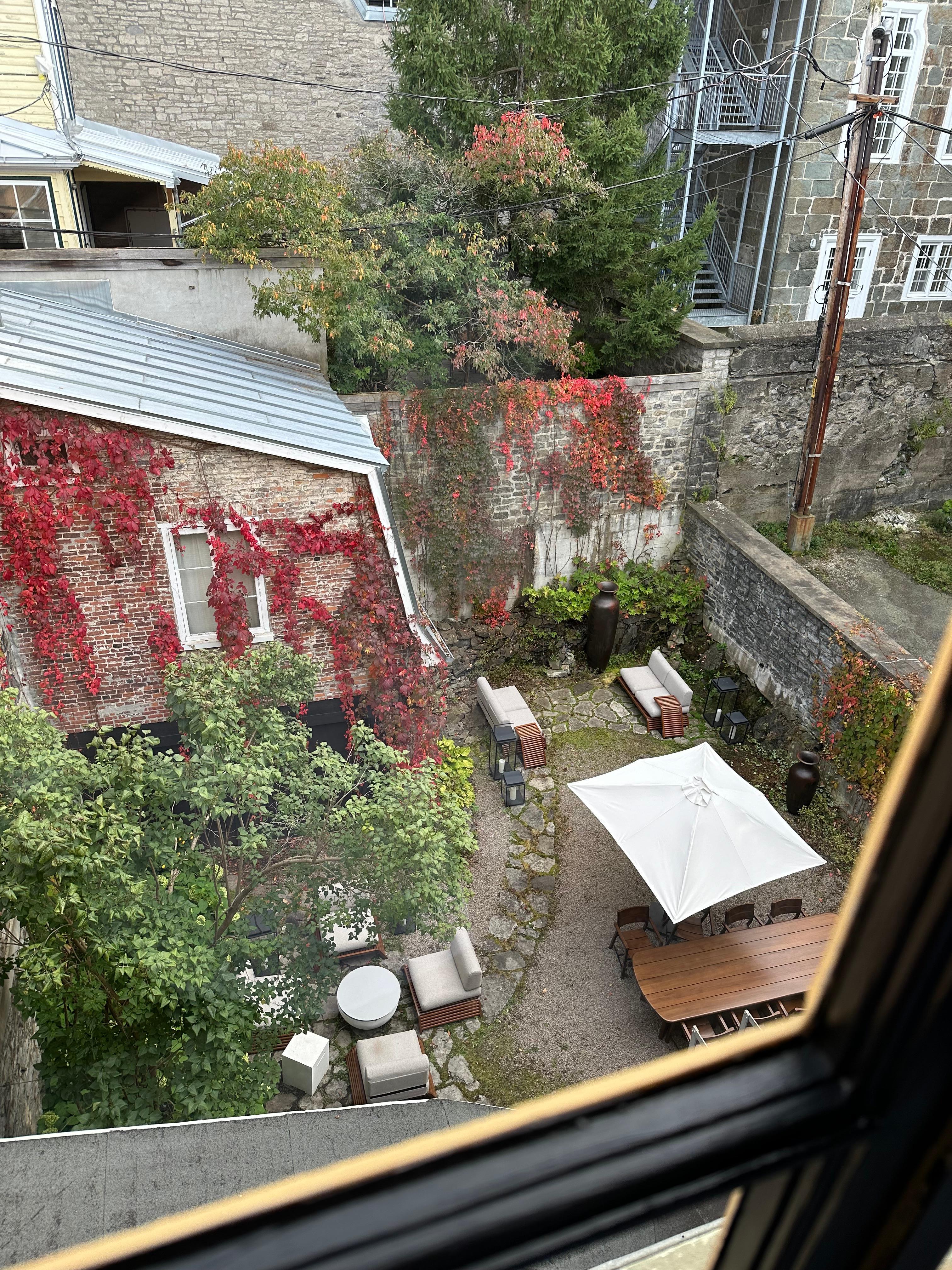 Back patio and garden area