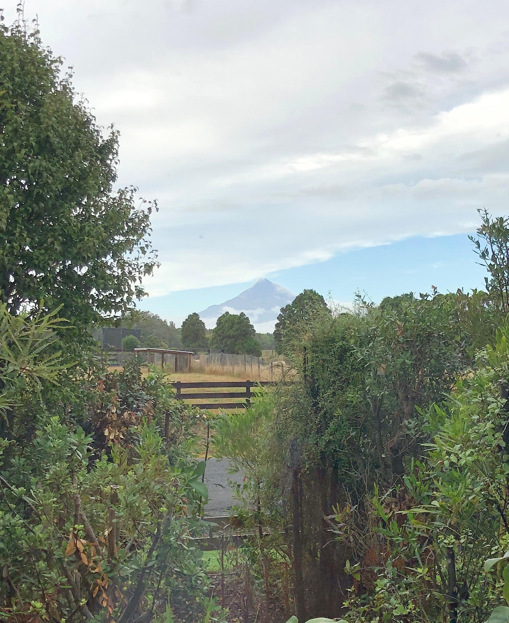 View from kitchen window