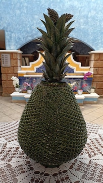 Hermosa piña en recepción