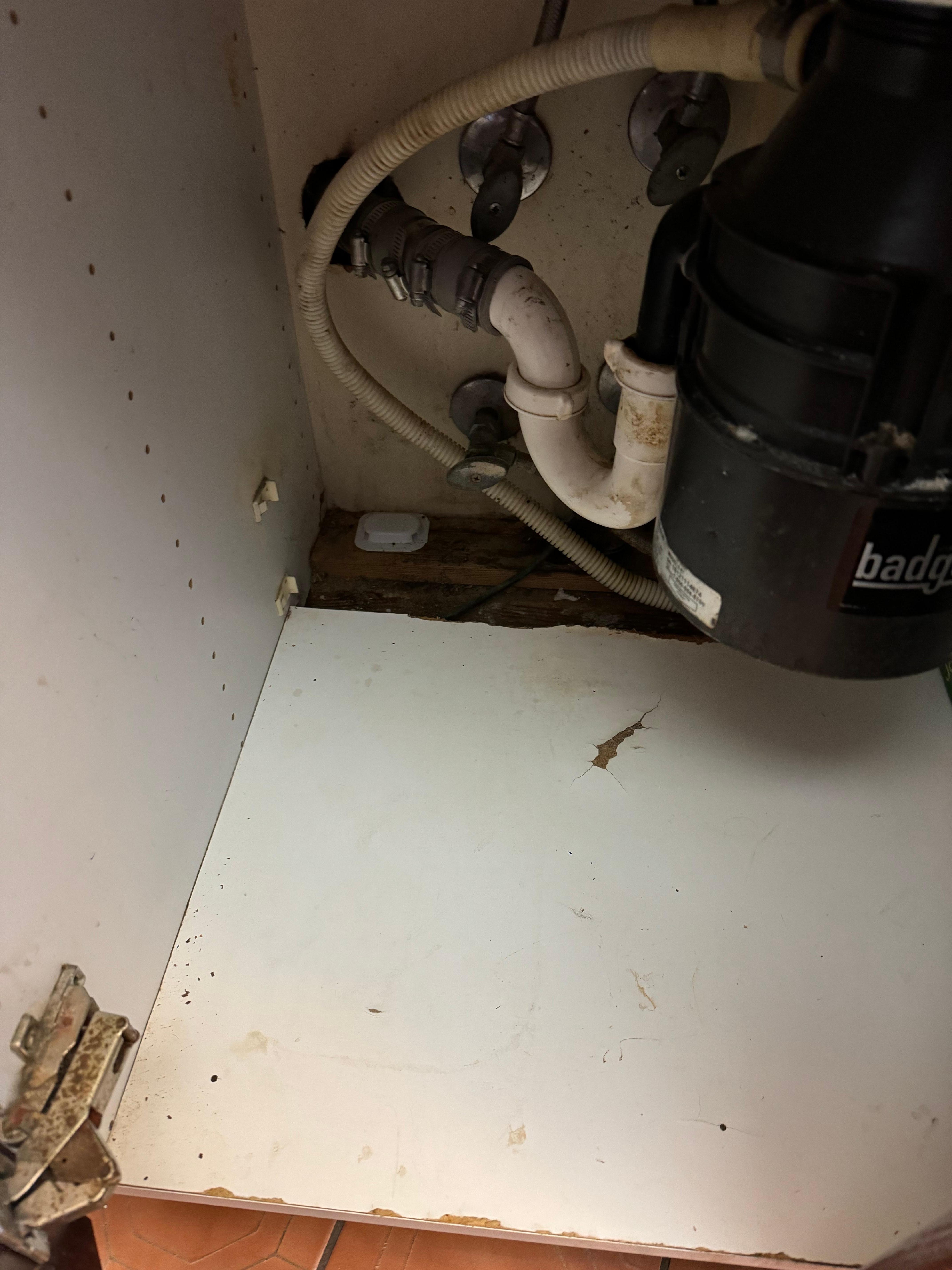 Under the kitchen sink