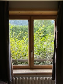 Windows view