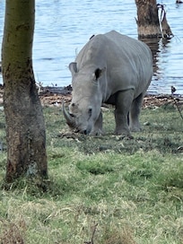 Lake Nakuru