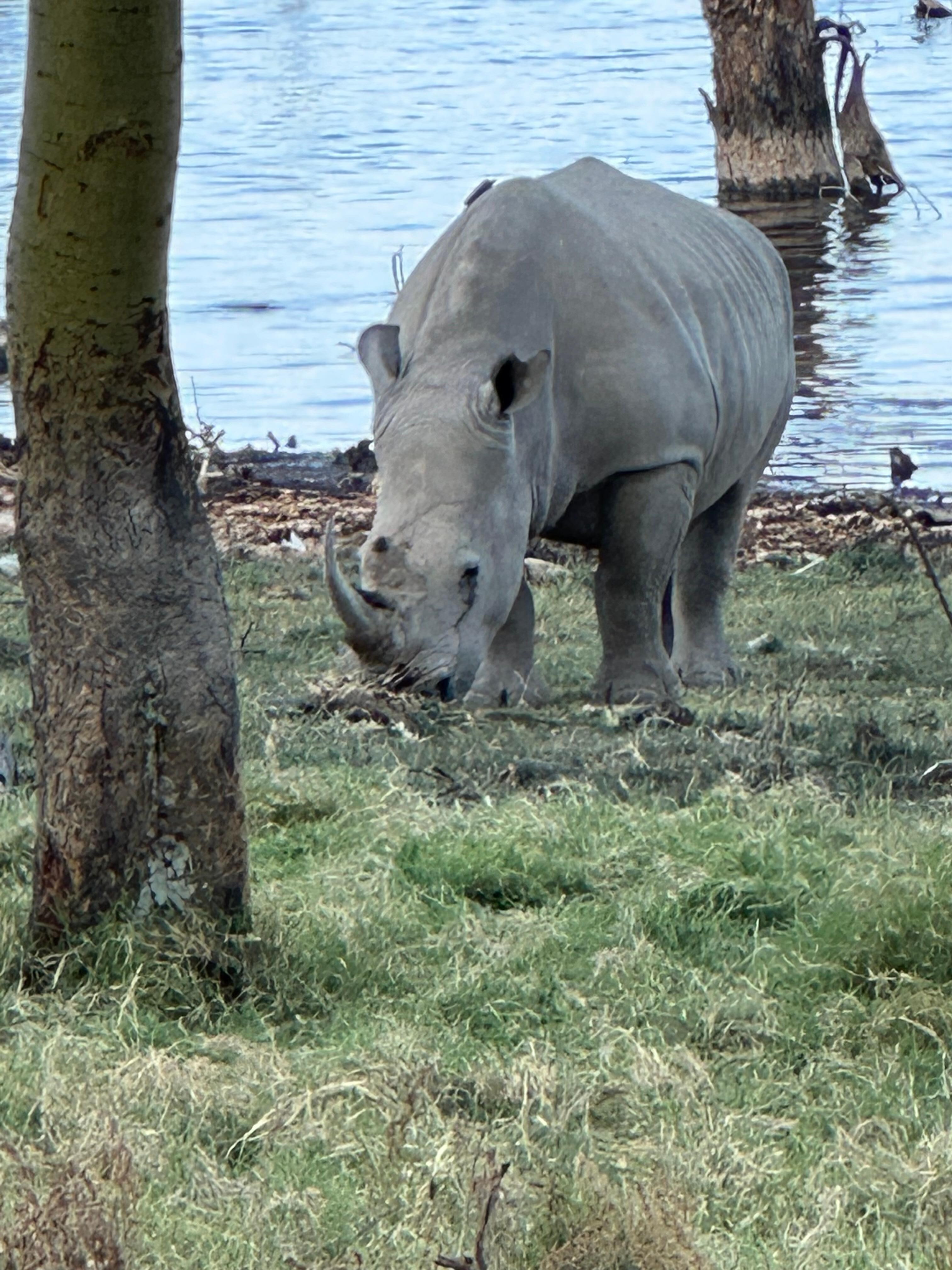 Lake Nakuru