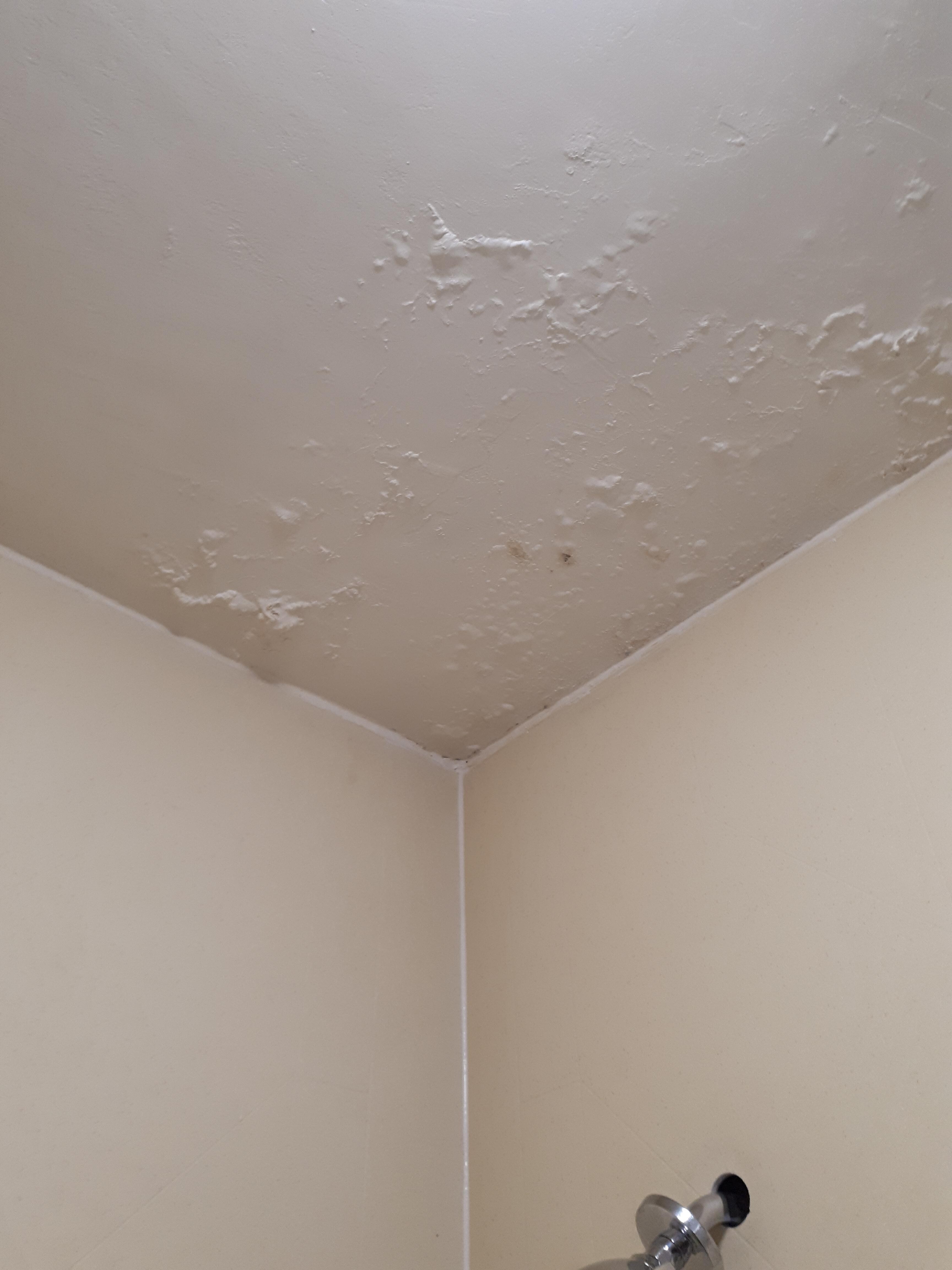 Plafond de la salle de bain