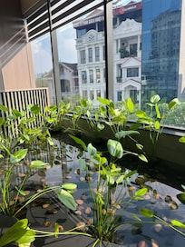 View from 3rd floor lounge