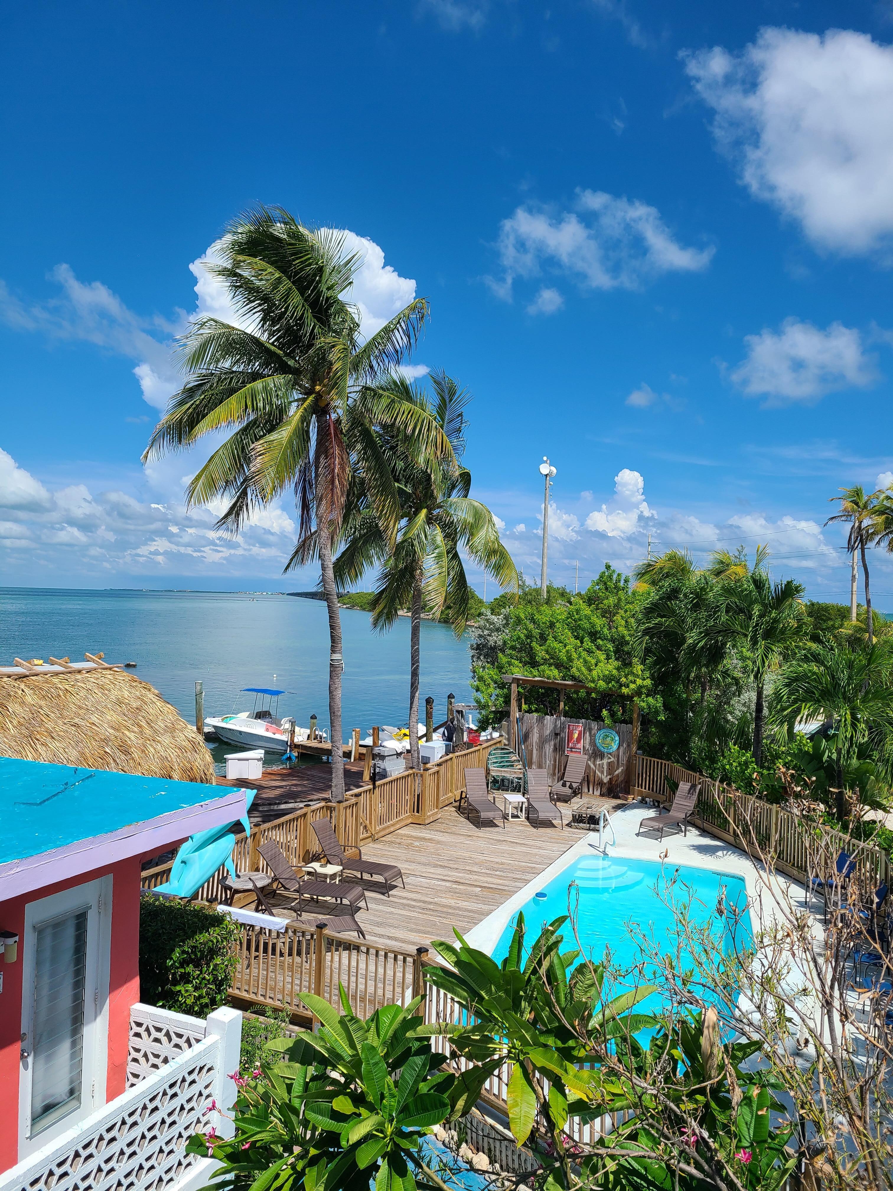View from the room