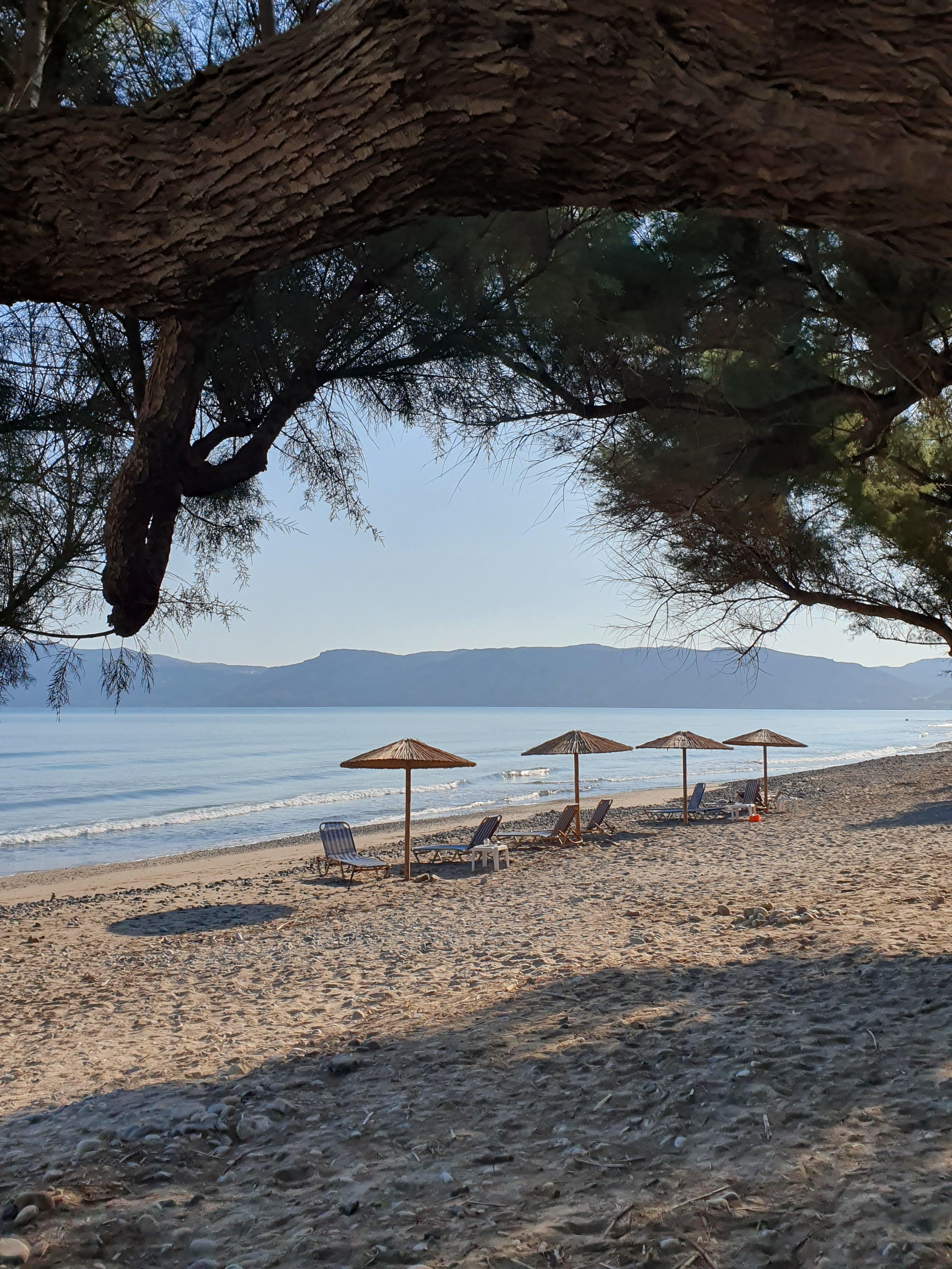 Plage à 100 m