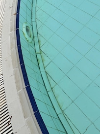 algue dans la piscine