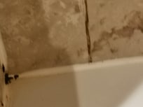 Carreaux de la douche