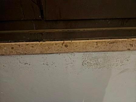 Mold below the bedroom window