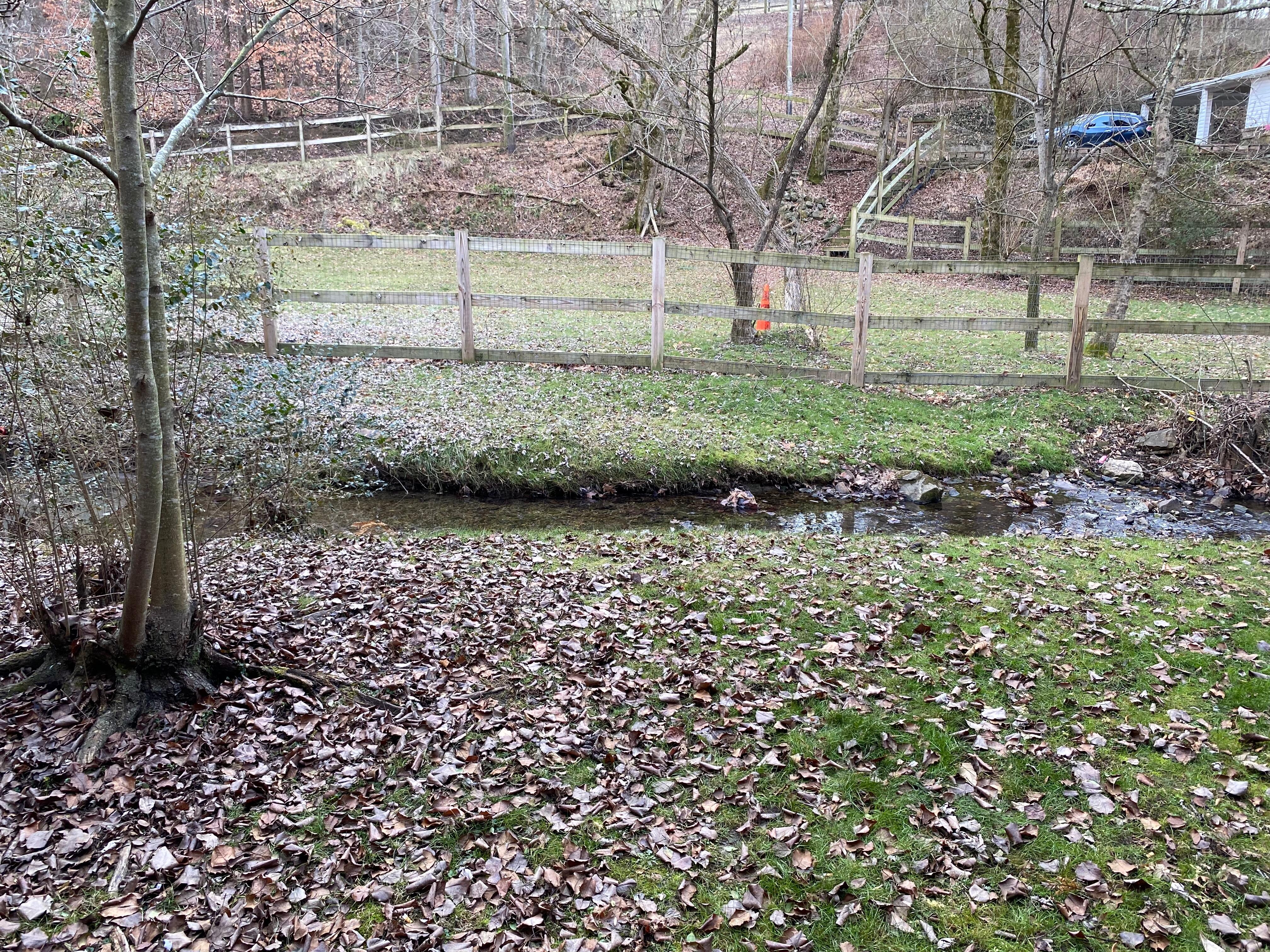 Gap Creek behind room.  