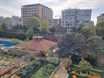 Garden View from the room