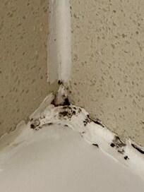 This was in the bathroom.