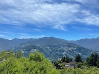 陽台看到的山景。