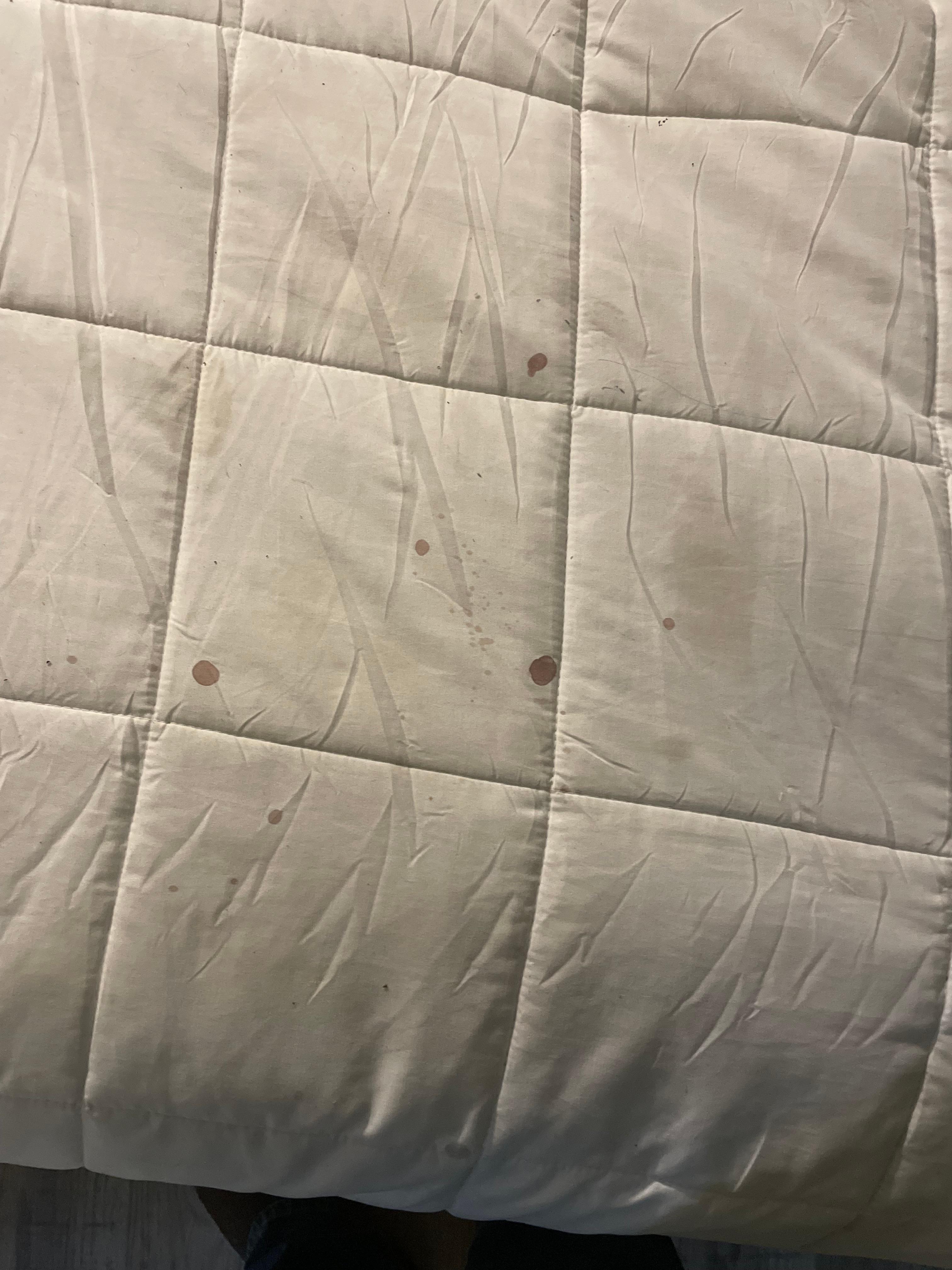 Nasty and blood stained bedding 