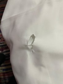 Sheet