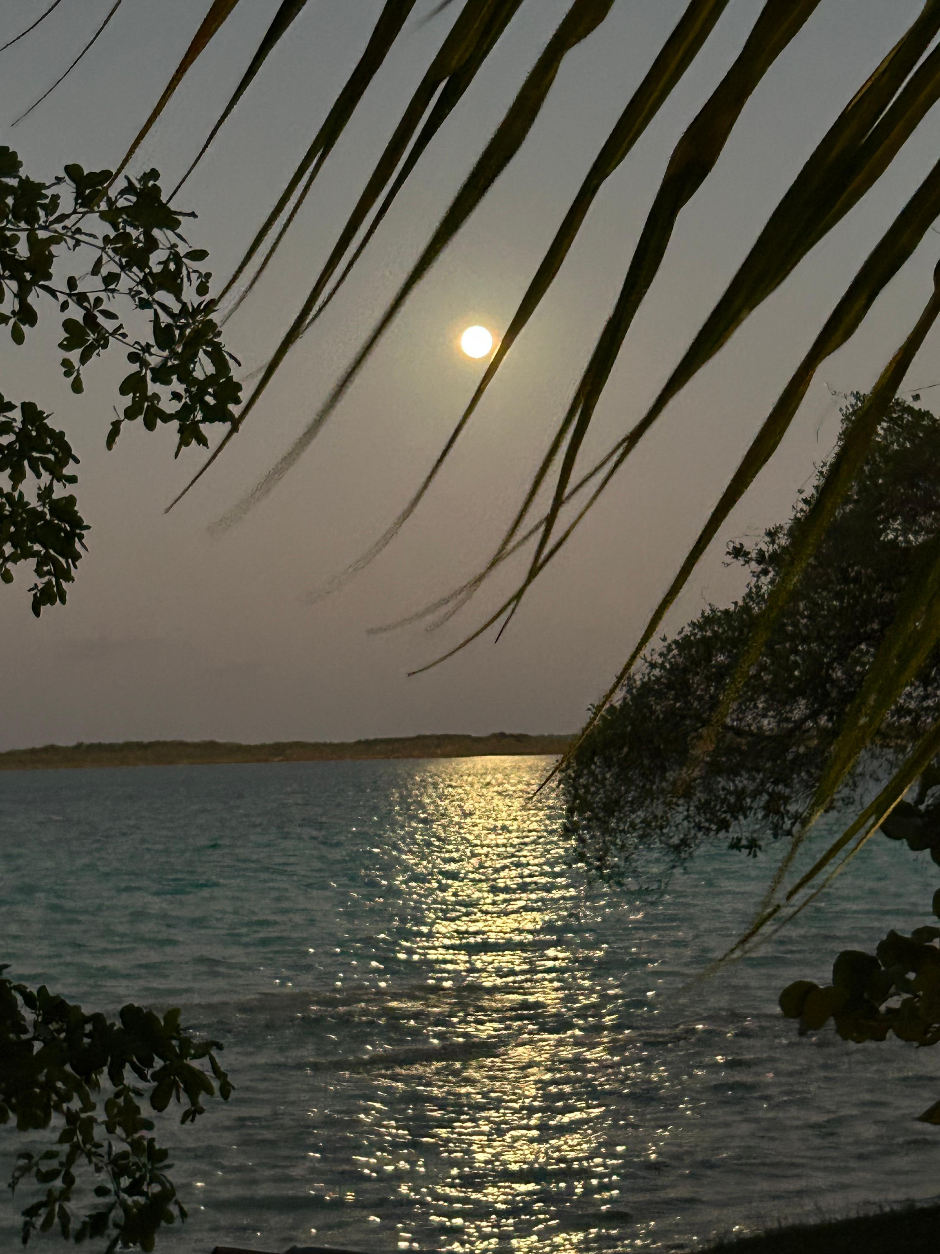 Full moon from just outside our cabin 