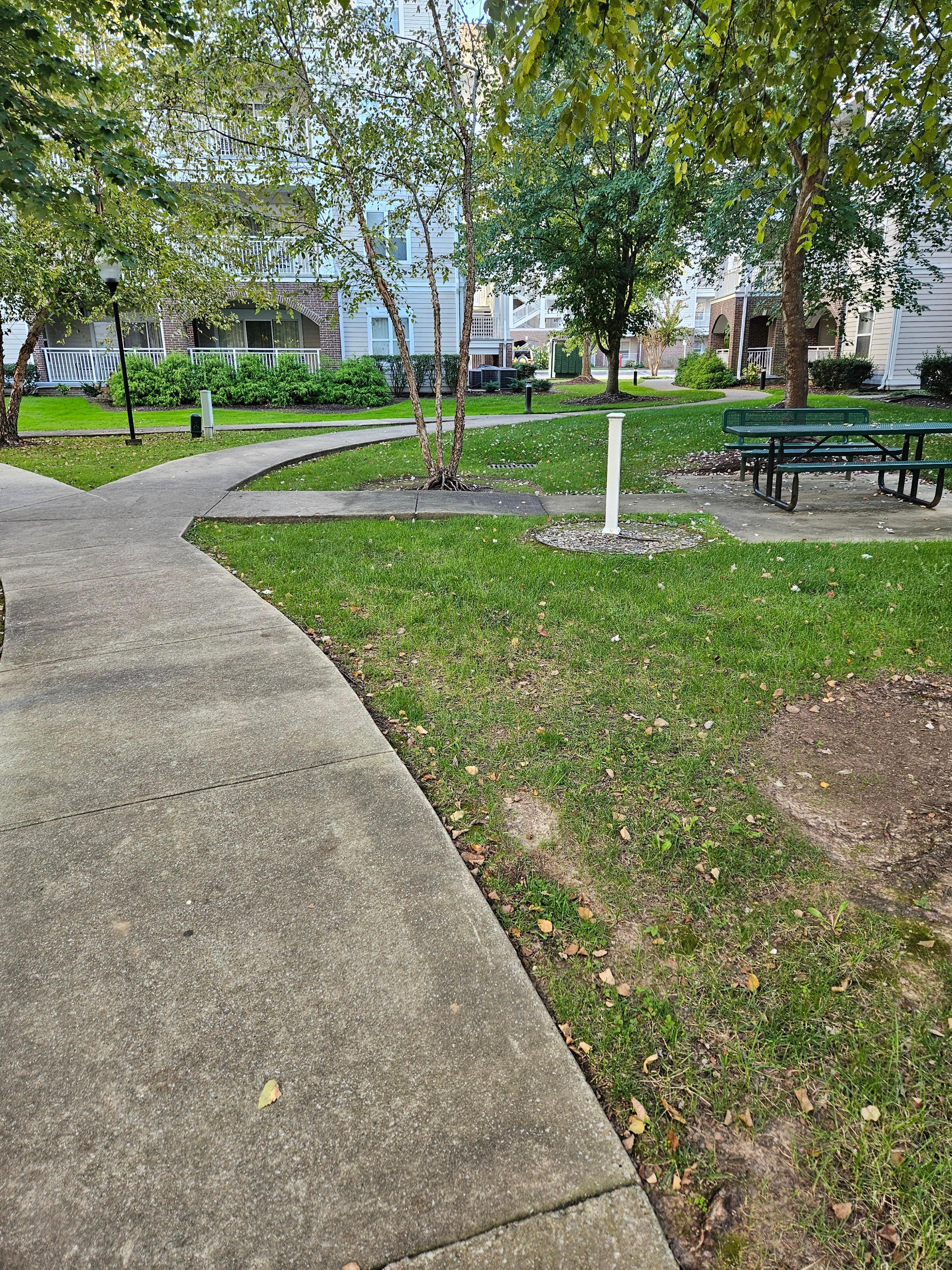 Beautiful walking/picnic areas