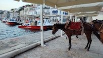 Le petit port