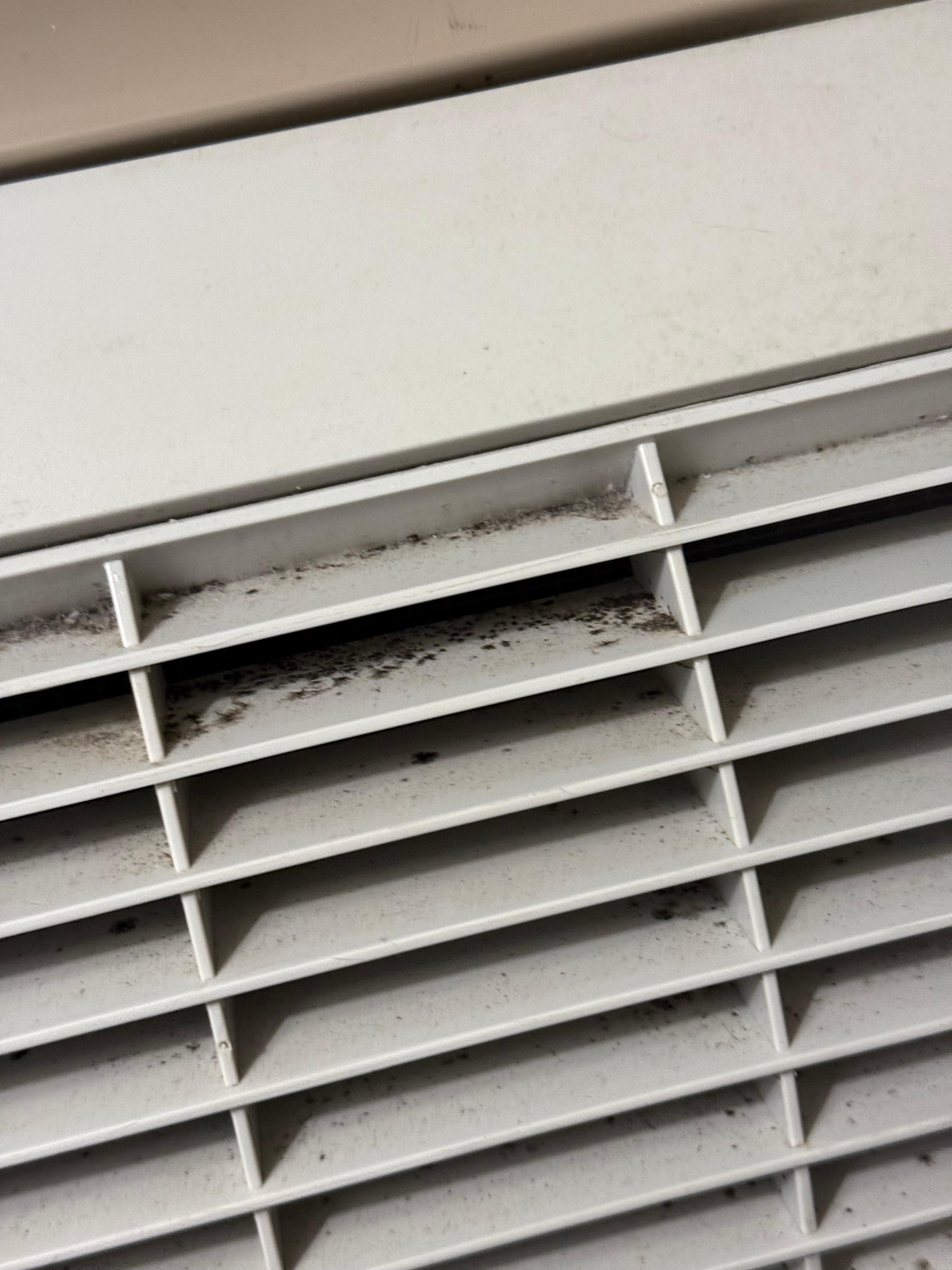 Mold on the vents of the air conditioning unit.