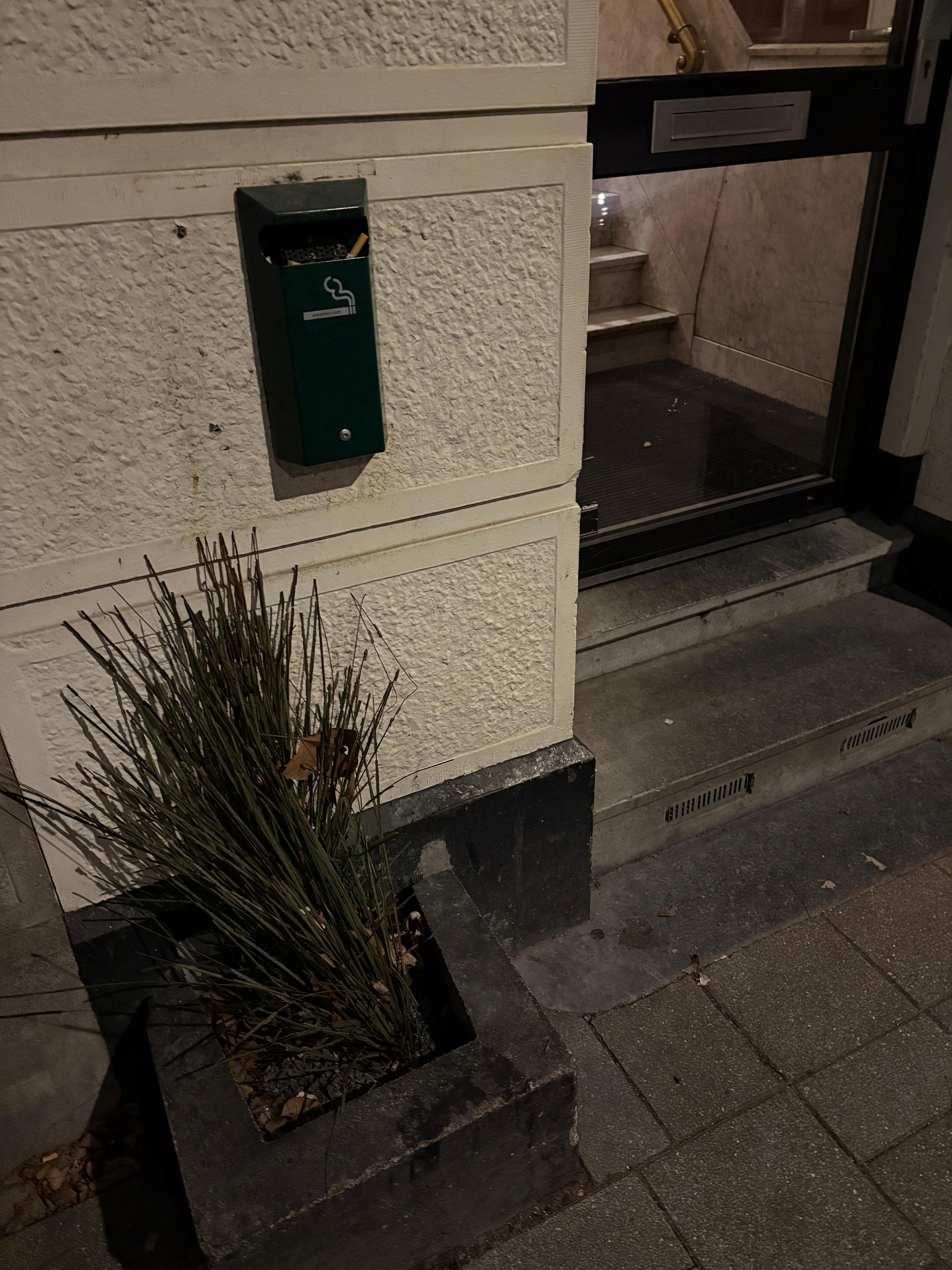 Old, plastic plants full of cigarette butts welcomes you at the front door